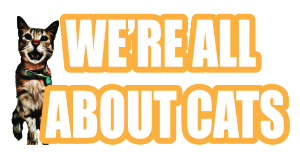 Were-All-About-Cats