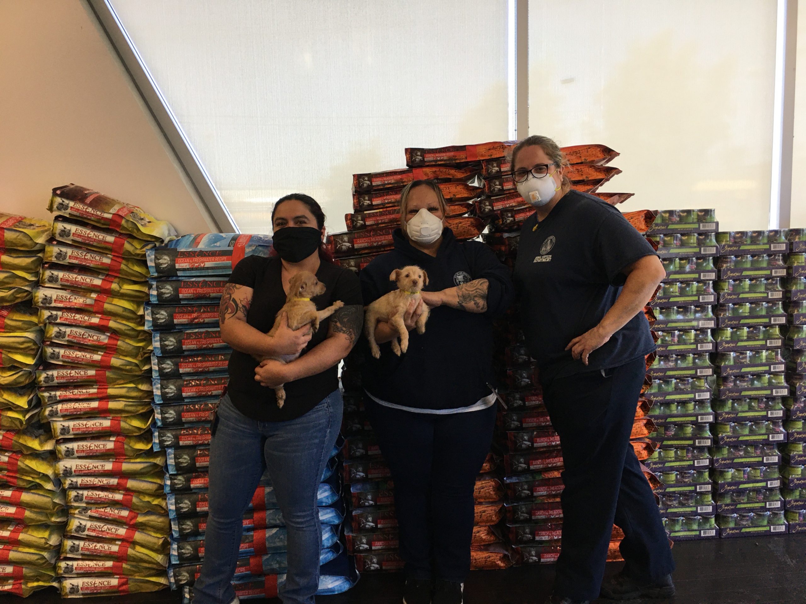 Los Angeles Animal Shelter